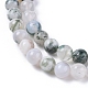 Natural Tree Agate Beads Strands(X-G-L533-22)-2