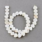 Natural Freshwater Shell Beads Strands, Heart, Creamy White, 10x10~11x3mm, Hole: 0.8~0.9mm, about 40pcs/strand, 14.1 inch(SSHEL-Q296-40)