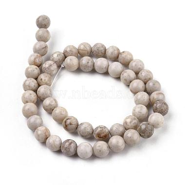 Chapelets de perles maifanite/maifan naturel pierre (X-G-I187-8mm-01)-5