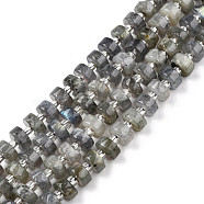 Natural Labradorite Beads Strands, with Seed Beads, Heishi Beads, Flat Round/Disc, 6~6.5x3mm, Hole: 1mm, about 35~42pcs/strand, 7.09 inch~7.68 inch(18~19.5cm)(G-N327-07A)