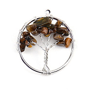 Natural Tiger Eye Tree fo Life Pendants, Iron Ring Chip Gems Tree Charms, Platinum, 30mm(WG82707-13)