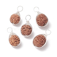 Natural Rudraksha Copper Wire Wrapped Pendants, Teardrop Charms, Undyed, Silver, 18~21x10~11x9~10mm, Hole: 4mm(PALLOY-JF02066-01)
