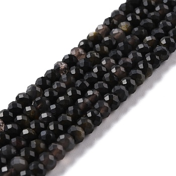 Natural Golden Sheen Obsidian Beads Strands, Faceted, Rondelle, 5.5x4mm, Hole: 0.8mm, about 92pcs/strand, 15.35''(39cm)