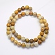 Natural Fossil Coral Beads Strands(X-G-G697-F01-4mm)-2