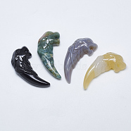 Natural Agate Big Pendants, Wolf Tooth Shape, 49~53x22~24x9~13mm, Hole: 1mm(G-T122-09)