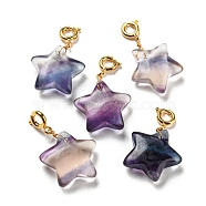 Carved Natural Fluorite Pendants, with Brass Spring Ring Clasps, Long-Lasting Plated, Star, Golden, 27mm, Pendant: 19.5~23x14.5~18x8mm(G-J387-49)