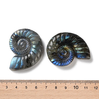 Natural Labradorite Cabochons(G-I368-A03)-3