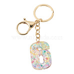 Number 6 Transparent Resin Keychains, with Alloy Lobster Claw Clasps and Split Key Rings, Golden, 110x30mm(KEYC-TADJ0001-10F)