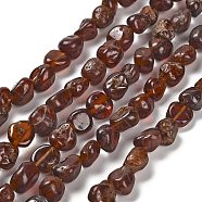 Natural Garnet Beads Strands, Nuggets, Tumbled Stone, 7~13x4.5~10x4.5~10mm, Hole: 1.2mm, about 44~46pcs/strand, 15.08~16.14 inch(38.3~41cm)(G-P497-01E-70)