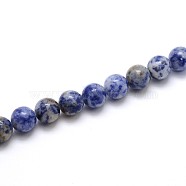 Natural Blue Spot Jasper Round Beads Strands, 10mm, Hole: 1mm, about 39pcs/strand, 15 inch(G-O047-01-10mm)