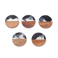 Resin & Walnut Wood Pendants, Two Tone Geometric Charms, Flat Round, 38x3mm, Hole: 2mm(WOOD-C016-01G)