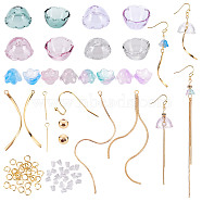 Elite DIY Wind Chime Shape Drop Earring Making Kit, Inclduing Glass Flower Beads & Bead Cone, Brass Earring Hooks & Tassel Pendants & Beads, 304 Stainless Steel Pendants, Mixed Color, 114Pcs/box(DIY-PH0010-93)
