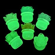 Luminous Resin Plant Decoden Cabochons, Glow in the Dark, Mixed Color, 25x22x21mm(CRES-B017-01)