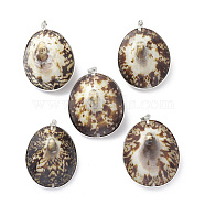 Natural Sea Shell Big Pendants, Oval Charms, with Platinum Tone Brass and Alloy Findings, 49.5~53x38~42x26~28.5mm, Hole: 4x6mm(SHEL-F005-05P)