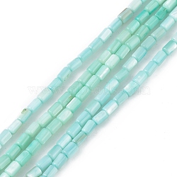 Natural Freshwater Shell Dyed Beads Strands, Column, Pale Turquoise, 4.8x3mm, Hole: 0.8mm, about 78pcs/strand, 14.96''(38cm)(SHEL-M018-12-06)