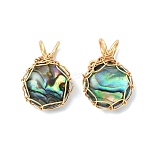 Natural Paua Shell Copper Wire Wrapped Pendants, Half Round Charms, Golden, 16.5x12x4.5mm, Hole: 4x3mm(PALLOY-JF05610)