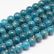 Natural Apatite Bead Strands, Round, 6mm, Hole: 0.8~1mm, about 66pcs/strand, 15.7 inch(G-P204-09-6mm)