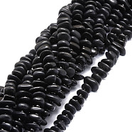 Natural Shungite Stone Beads Strands, Nuggets, 8~11x9~14x1.5~5mm, Hole: 0.8mm, about 74pcs/strand, 15.55''(39.5cm)(G-E569-J18)