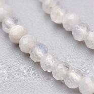 Natural Rainbow Moonstone Bead Strands, Faceted, Round, 2mm, Hole: 0.5mm, about 145pcs/strand, 13 inch(33cm)(G-P213-21-2mm)