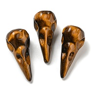 Natural Tiger Eye Pendants, Bird Head Skull Charms, 47~49x20~22x20~22mm, Hole: 2~2.5mm(G-M417-06F)