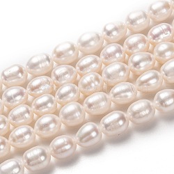 Natural Cultured Freshwater Pearl Beads Strands, Rice, Bisque, 9x8mm, Hole: 0.8mm, about 41pcs/strand, 14.96 inch(38cm)(PEAR-L033-79-01)