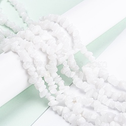 Natural White Jade Beads Strands, Chip, 3~16x3~8mm, Hole: 0.7mm, 80~81cm(G-G011-02)