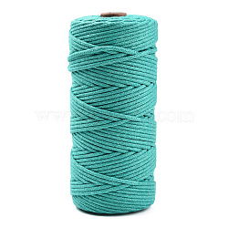 Cotton String Threads, Macrame Cord, Decorative String Threads, for DIY Crafts, Gift Wrapping and Jewelry Making, Light Sea Green, 3mm, about 109.36 Yards(100m)/Roll.(OCOR-T001-02-21)