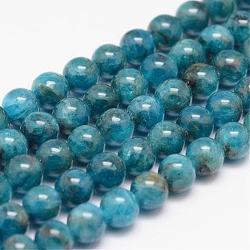 Natural Apatite Bead Strands, Round, 6mm, Hole: 0.8~1mm, about 66pcs/strand, 15.7 inch