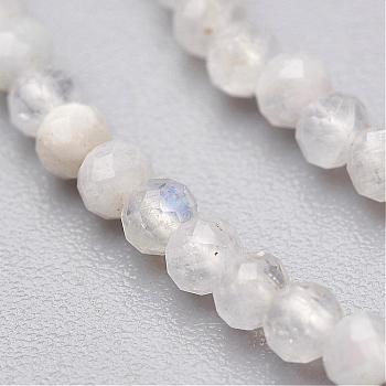Natural Rainbow Moonstone Bead Strands, Faceted, Round, 2mm, Hole: 0.5mm, about 145pcs/strand, 13 inch(33cm)