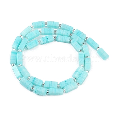 Handmade Lampwork Beads Strands(LAMP-Q037-01B-04)-2