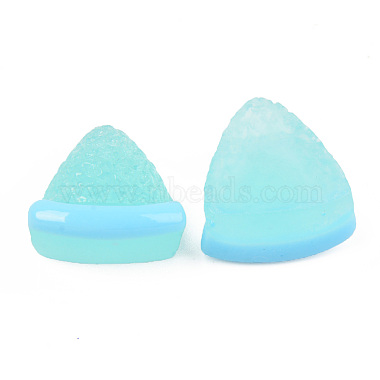 Resin Cabochons(CRES-R197-04)-3