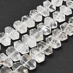 Natural Quartz Crystal Beads Strands, Faceted, Double Terminated Pointed/Bullet, 20~31x12~14x10~13mm, Hole: 1.8mm, about 23~24pcs/strand, 15.55 inch(39.5cm)(G-F715-040B)