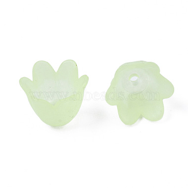 Transparent Acrylic Bead Caps(FACR-N005-002B)-5