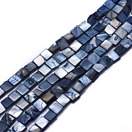 Natural Freshwater Shell Beads Strands, Dyed, Square, Prussian Blue, 8~9x8~9x3~4mm, Hole: 1mm, about 49pcs/strand, 15.3 inch(SHEL-E355-07D)