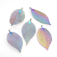 Electroplated Natural Leaf Big Pendants, with Iron Findings, Multi-color Plated, 50~80x20~35x1mm, Hole: 3x6mm(X-IFIN-Q119-03L)