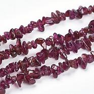 Natural Garnet Beads Strands, Chips, 1~4x4~7mm, Hole: 0.5~1mm, about 34.25 inch(87cm)(G-K204-01)