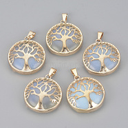 Opalite Pendants, with Brass Findings, Flat Round with Tree of Life, Golden, 30.5x27x8mm, Hole: 7x3mm(G-S292-10N-G)