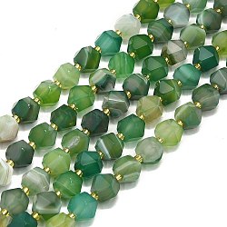 Natural Banded Agate Beads Strand, Octagonal, Dyed and Heated, Faceted, Green, 9~10.5x9~10.5x7.5~8.5mm, Hole: 1mm, about 36~40pcs/strand, 15.35~15.55 inch(39~39.5cm)(G-I376-A44-01)