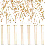 100Pcs 304 Stainless Steel Ball Head Pins, for Jewelry Making, Golden, 22 Gauge, 50x0.6mm, Head: 1.8mm(STAS-UN0054-06)