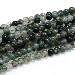 Natural Gemstone Round Bead Strands, Moss Agate, 6mm, Hole: 1mm, about 64pcs/strand, 16 inch(X-G-J303-07-6mm)