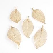 Electroplated Natural Leaf Big Pendants, with Iron Findings, Light Gold Plated, 50~80x20~35x1mm, Hole: 3x6mm(IFIN-Q119-03D)