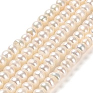 Natural Cultured Freshwater Pearl Beads Strands, Grade 2A, Rondelle, Beige, 5~5.5x4~4.5mm, Hole: 0.8mm, about 80~88pcs/strand, 14.37~14.57 inch(36.5~37cm)(PEAR-J007-26)