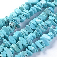 Natural Magnesite Beads Strands, Dyed, Nuggets, 3~7.5x6~15mm, Hole: 1mm, about 10.8 inch(27.5cm)(TURQ-G152-C01)