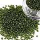 12/0 Grade A Round Glass Seed Beads(SEED-Q007-F55)-1