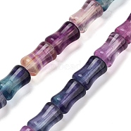 Natural Colorful Fluorite Beads Strands, Bamboo Joint, 12x7.5mm, Hole: 1mm, about 33pcs/strand, 15.35''(39cm)(G-H051-B01-01)