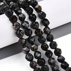 Dyed Natural Sesame Jasper Beads Strands, Faceted, Star Cut Round Beads, Dark Slate Gray, 7~8x6~7.5x6~7.5mm, Hole: 1mm, about 48~49pcs/strand, 14.17~15.35''(36~39cm)(G-T139-8mm-47B)