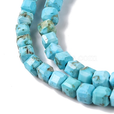 Natural Howlite Beads Strands(G-H025-04B)-4