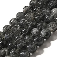 Natural Biotite Beads Strands, Round, 8~8.5mm, Hole: 1mm, about 47~50pcs/strand, 15.35~15.55 inch(39~39.5cm)(G-F784-A03-02)