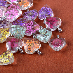 Heart Alloy Glass Pendants, Cadmium Free & Lead Free, with Dried Flower Inside, Platinum, 27~28x20x11~12mm, Hole: 4.5x2.5mm(GLAA-Q049-20mm-03P)