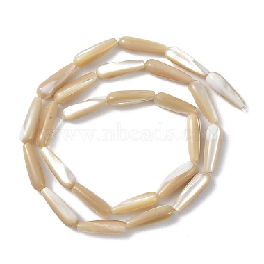 Natural Trochus Shell Beads(PEAR-B002-01B-B)-2